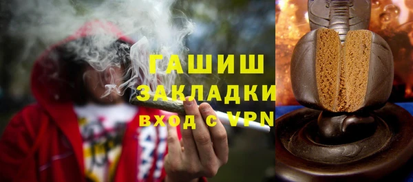 индика Заволжье