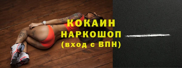 индика Заволжье