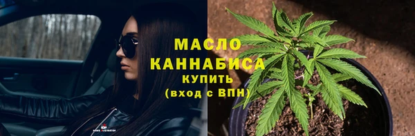 индика Заволжье