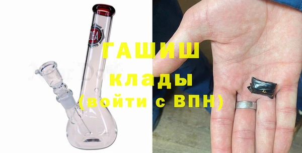 индика Заволжье