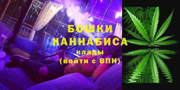 индика Заволжье