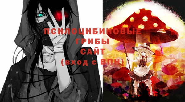 индика Заволжье
