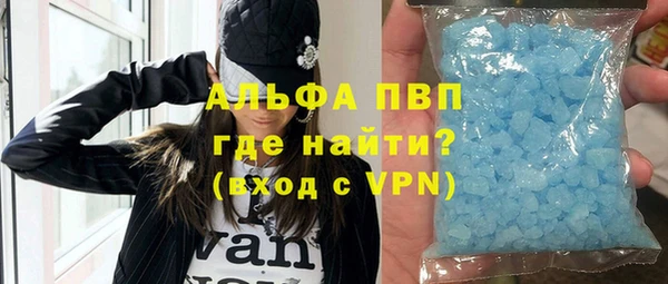 индика Заволжье