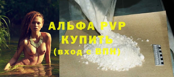 индика Заволжье