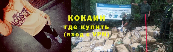 индика Заволжье