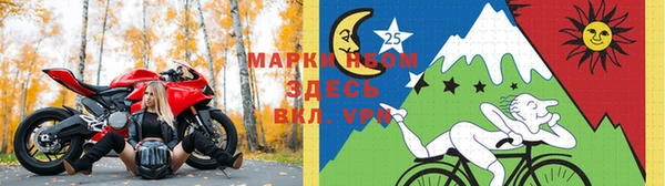 индика Заволжье
